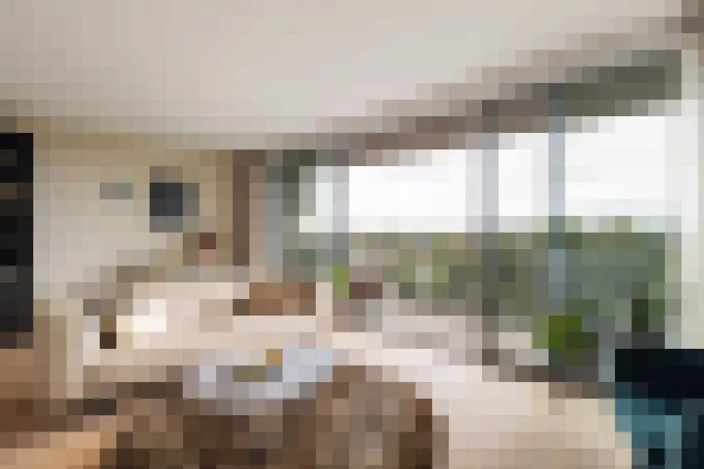 Schapenkamp 175 Hilversum thumbnail 10