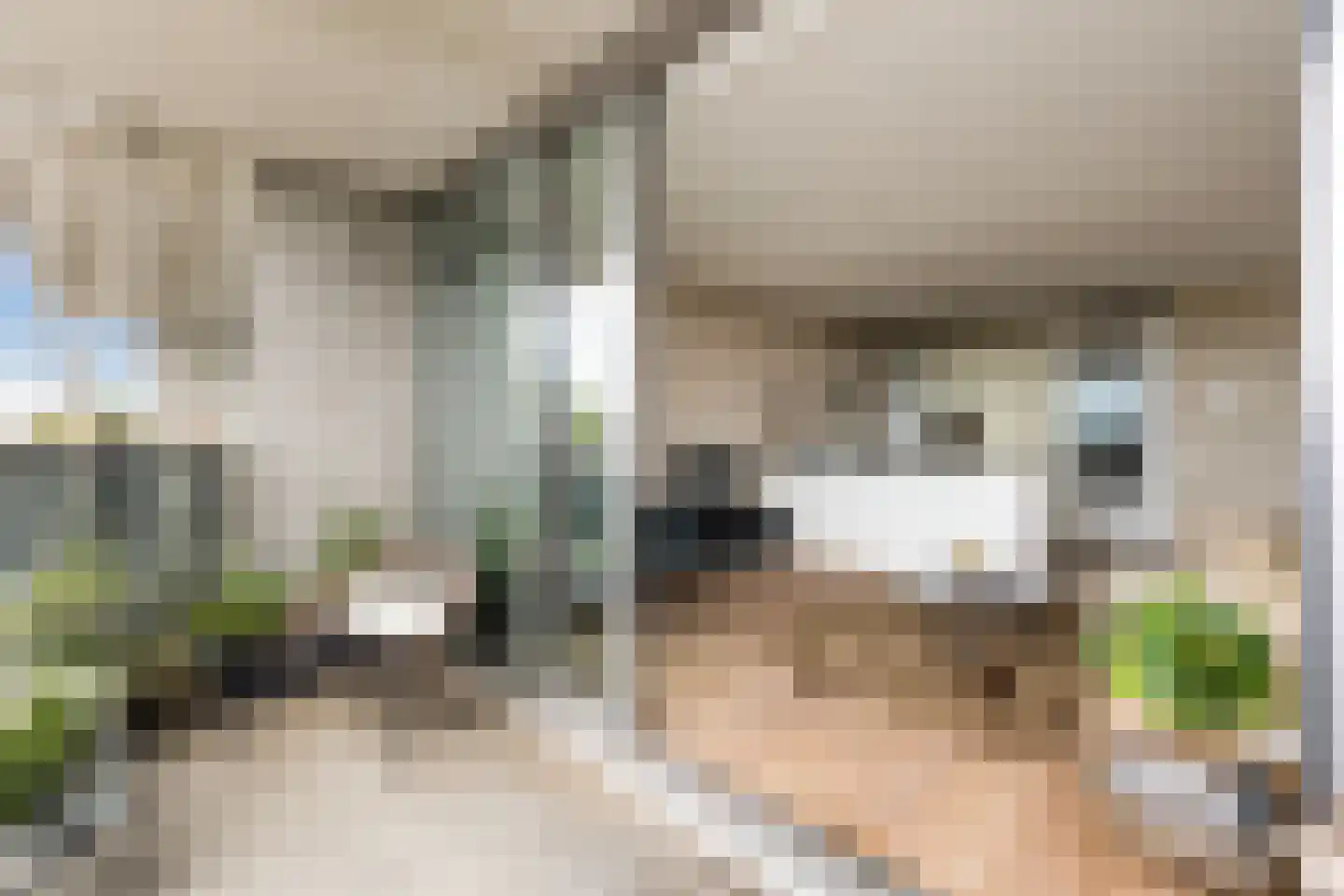 Schapenkamp 175 Hilversum thumbnail 18