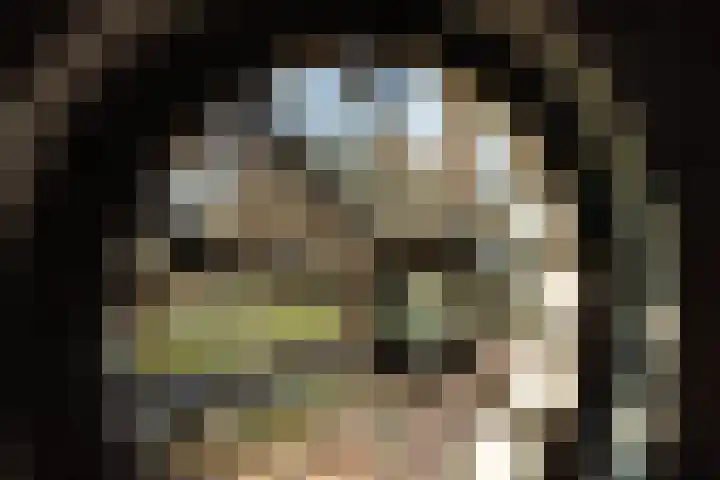 Schapenkamp 250 Hilversum thumbnail 15