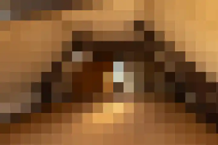 Schapenkamp 250 Hilversum thumbnail 16