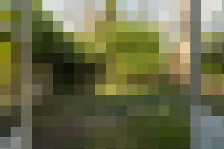 Schapenkamp 250 Hilversum thumbnail 17