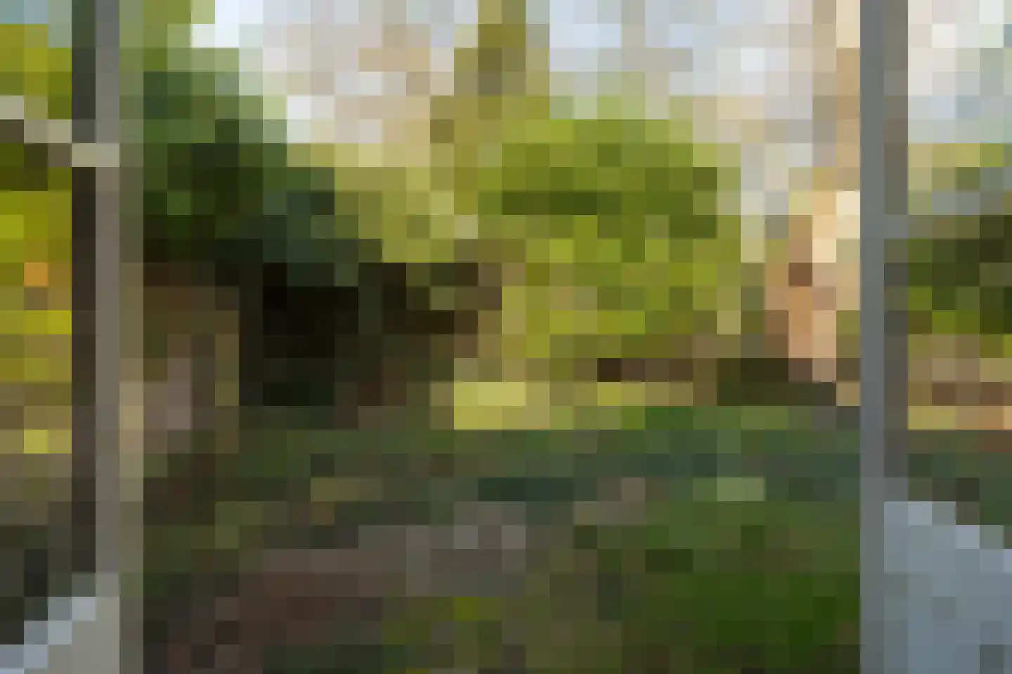 Schapenkamp 250 Hilversum thumbnail 17
