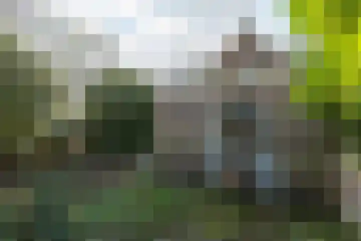 Schapenkamp 250 Hilversum thumbnail 18