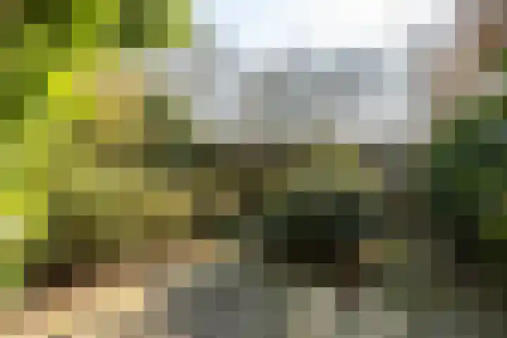 Schapenkamp 250 Hilversum thumbnail 20