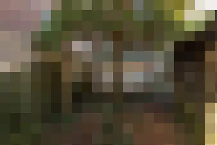 Schapenkamp 250 Hilversum thumbnail 21