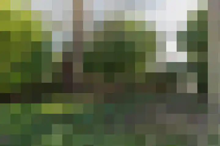 Schapenkamp 250 Hilversum thumbnail 22