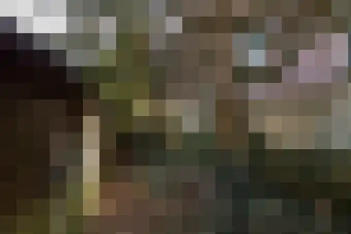 Schapenkamp 250 Hilversum thumbnail 23