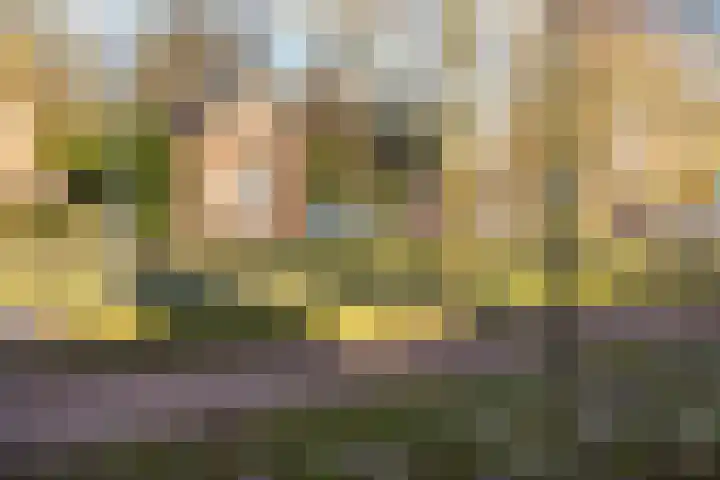 Schapenkamp 250 Hilversum thumbnail 24