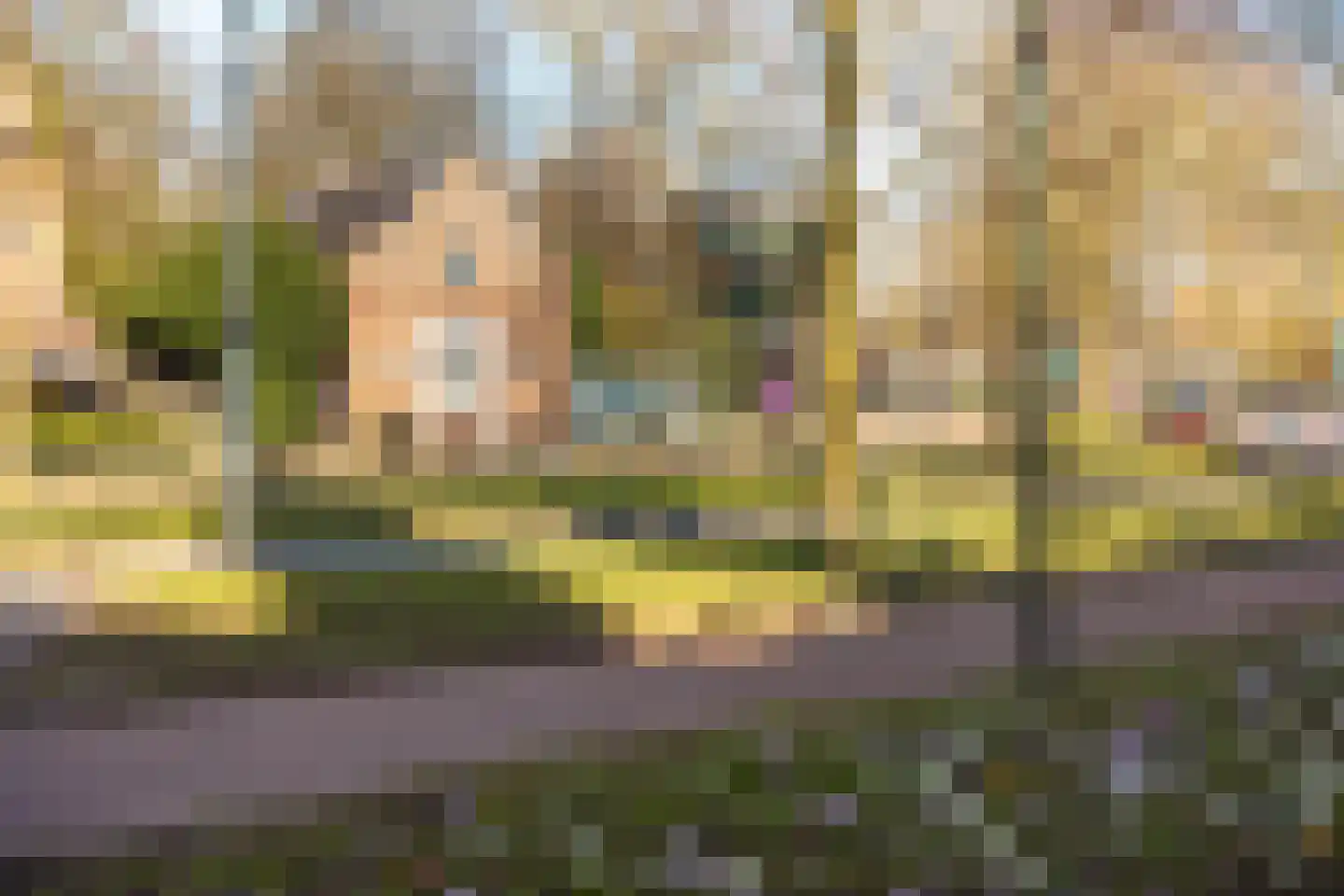 Schapenkamp 250 Hilversum thumbnail 24