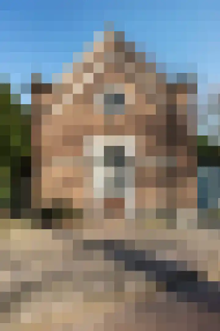 Schapenkamp 250 Hilversum thumbnail 25