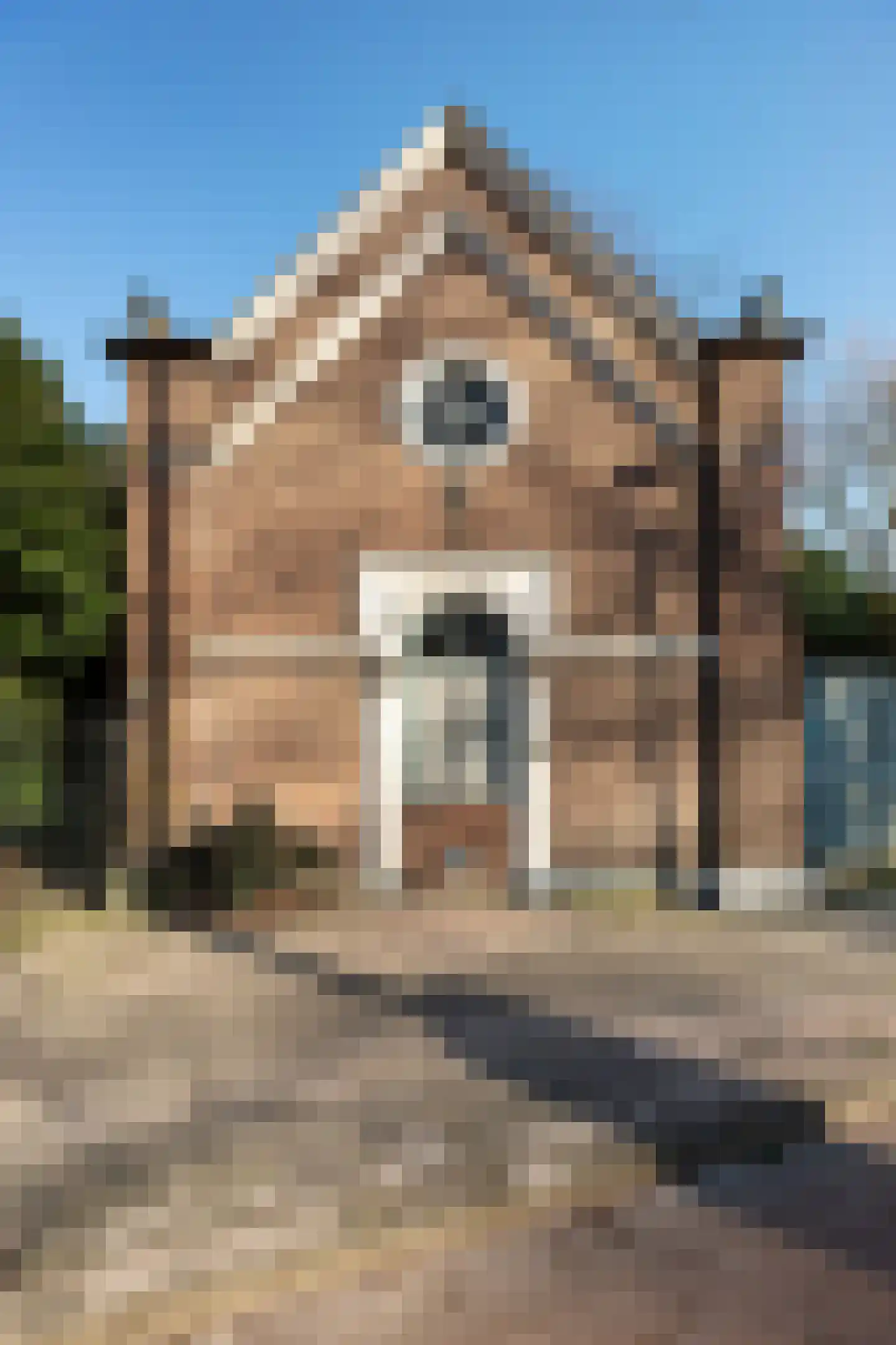 Schapenkamp 250 Hilversum thumbnail 25