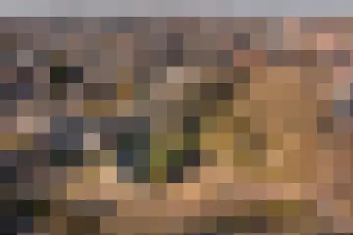 Schapenkamp 250 Hilversum thumbnail 27