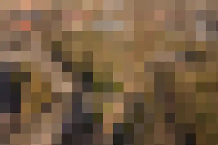 Schapenkamp 250 Hilversum thumbnail 28