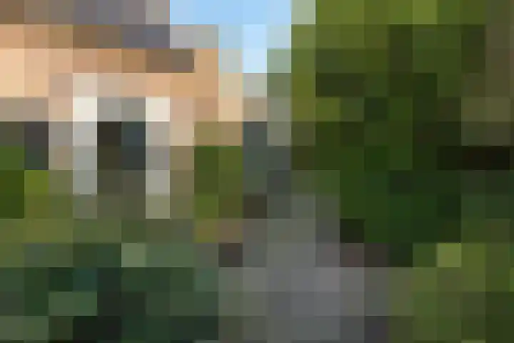 Schapenkamp 250 Hilversum thumbnail 4