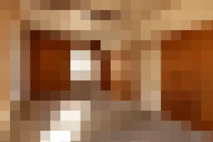 Schapenkamp 250 Hilversum thumbnail 6