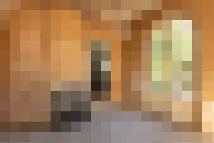 Schapenkamp 250 Hilversum thumbnail 8