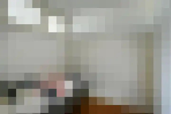 Schapenkamp 36 Hilversum thumbnail 10