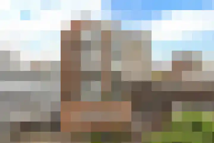 Schapenkamp 36 Hilversum thumbnail 11