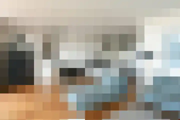 Schapenkamp 36 Hilversum thumbnail 4