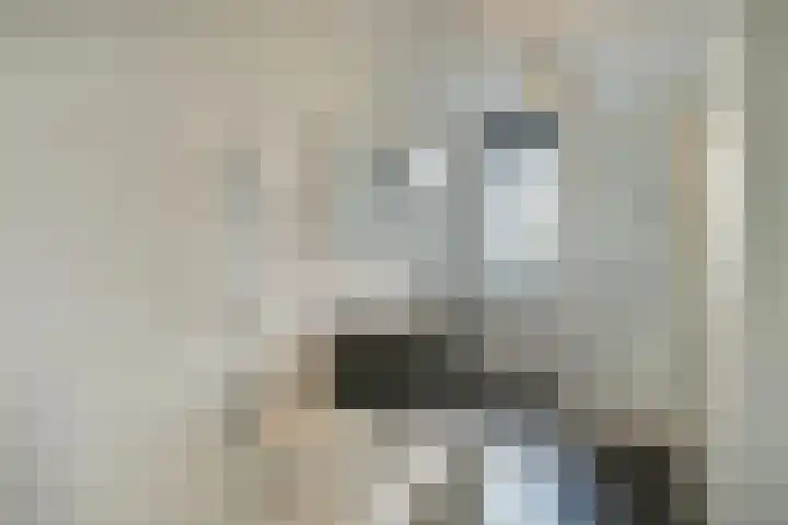 Schapenkamp 36 Hilversum thumbnail 8