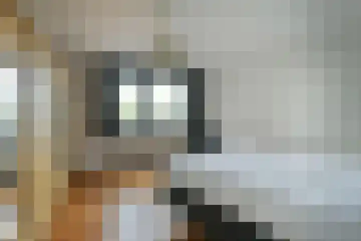 Schapenkamp 36 Hilversum thumbnail 9