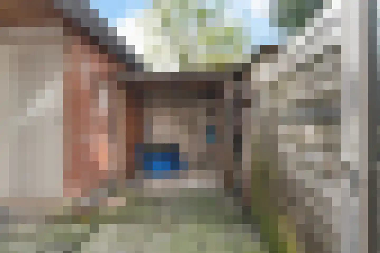 Schapenlaan 120 Den Haag thumbnail 31