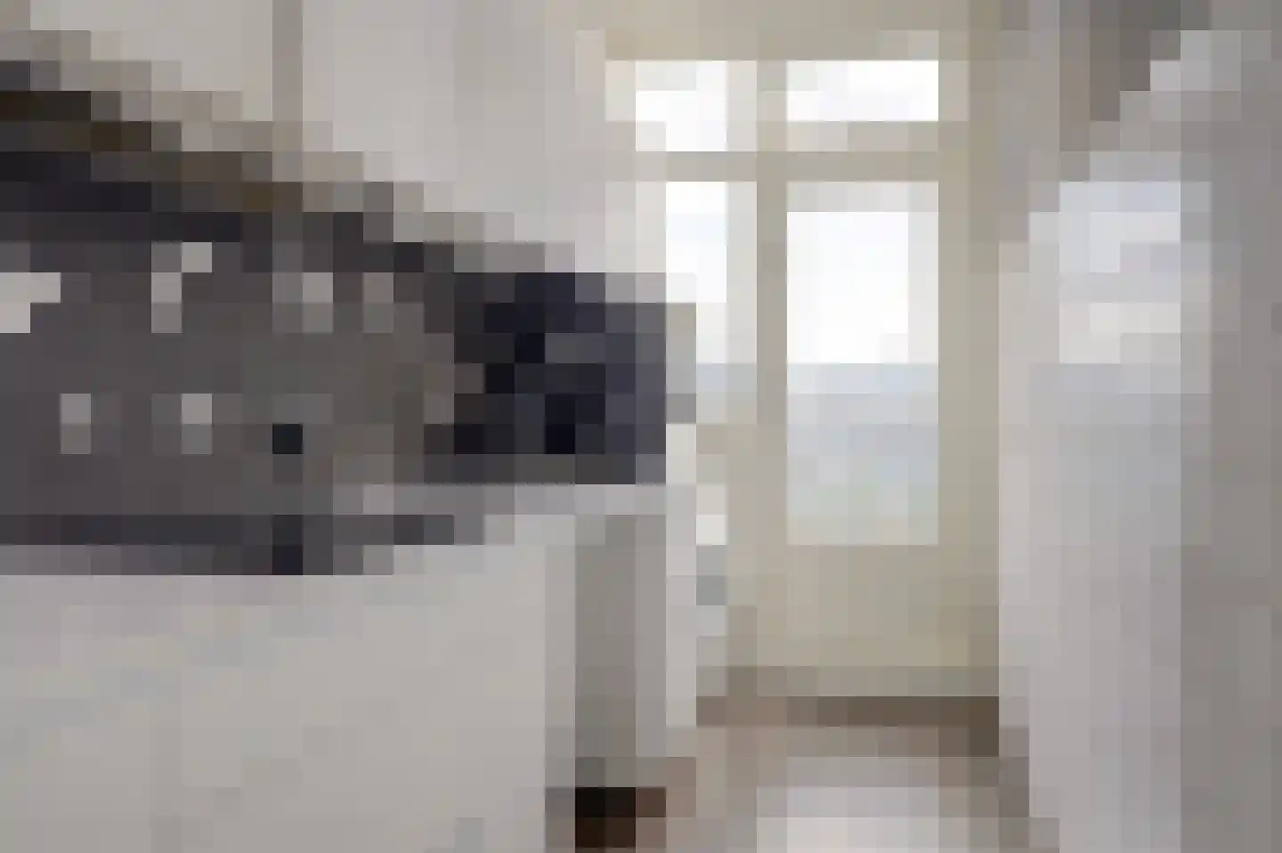 Schapenlaan 126 Den Haag thumbnail 14