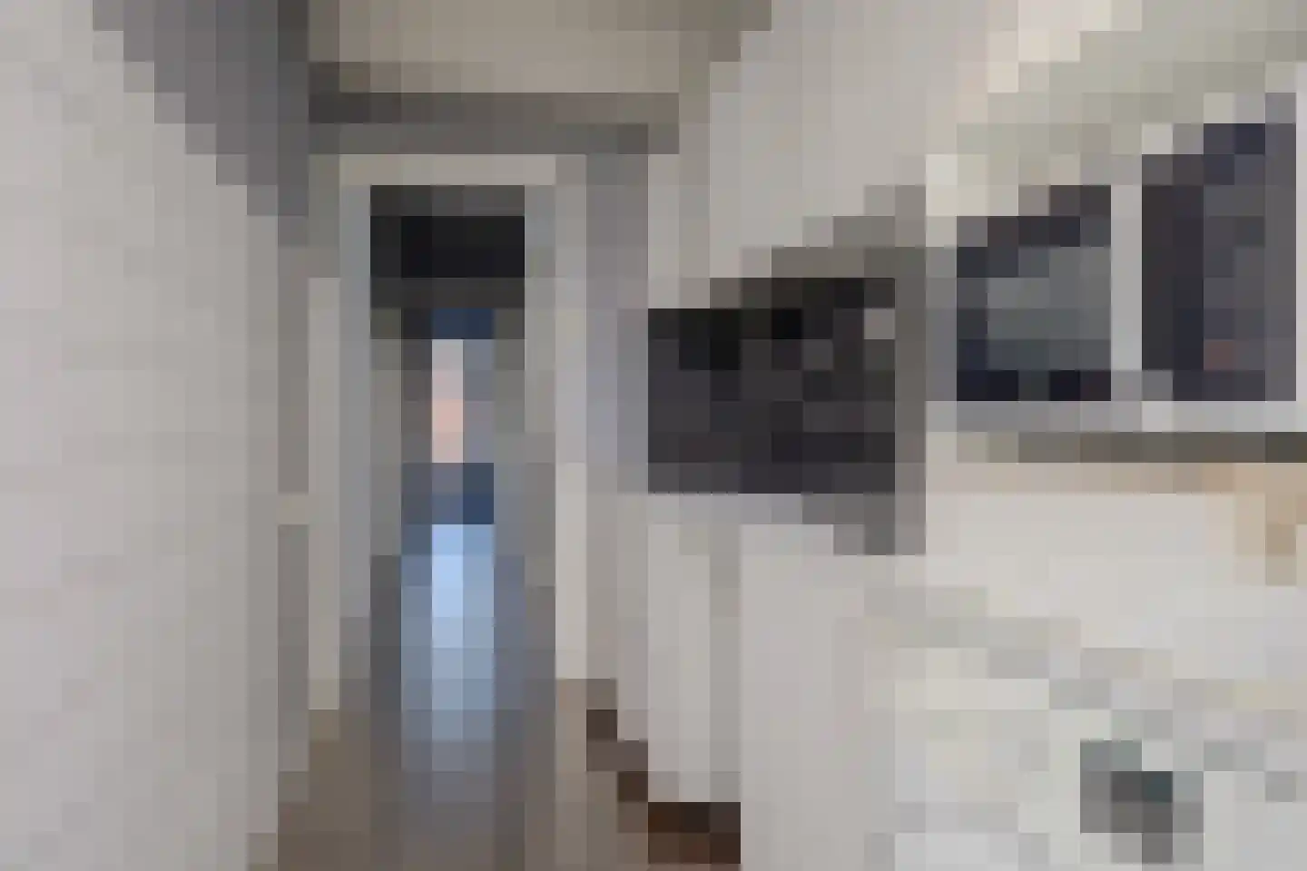 Schapenlaan 126 Den Haag thumbnail 15