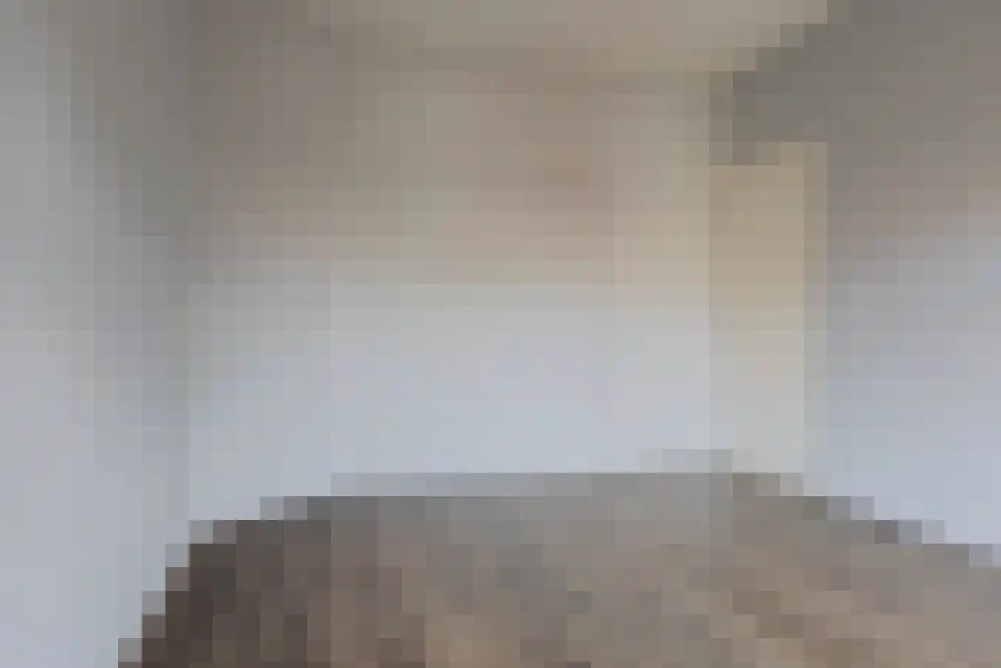 Schapenlaan 126 Den Haag thumbnail 26