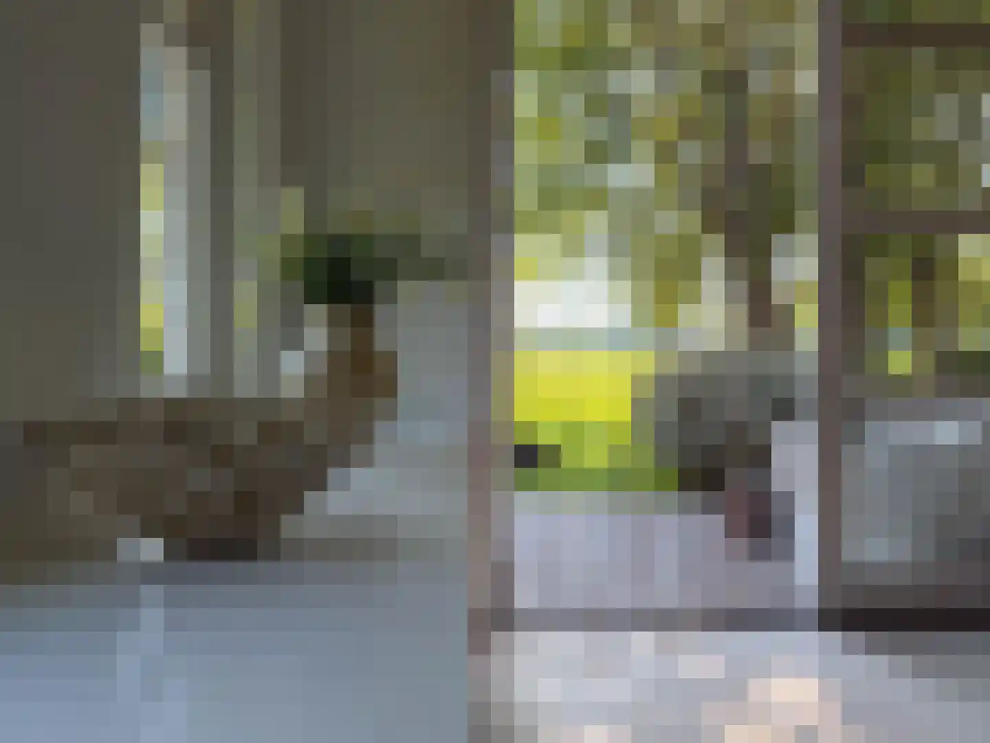 Schapenlaan 15 Bergen (NH) thumbnail 10