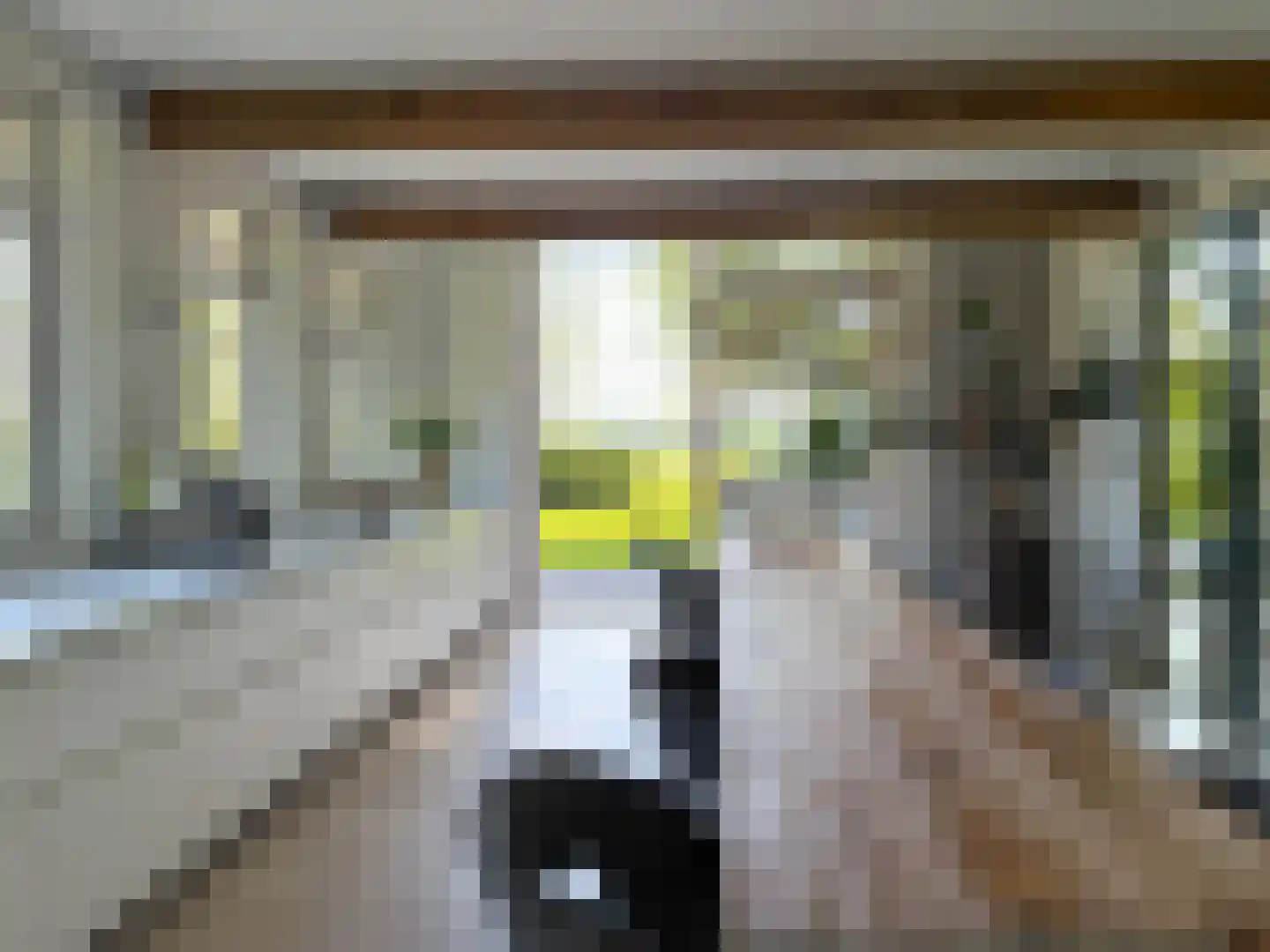Schapenlaan 15 Bergen (NH) thumbnail 11