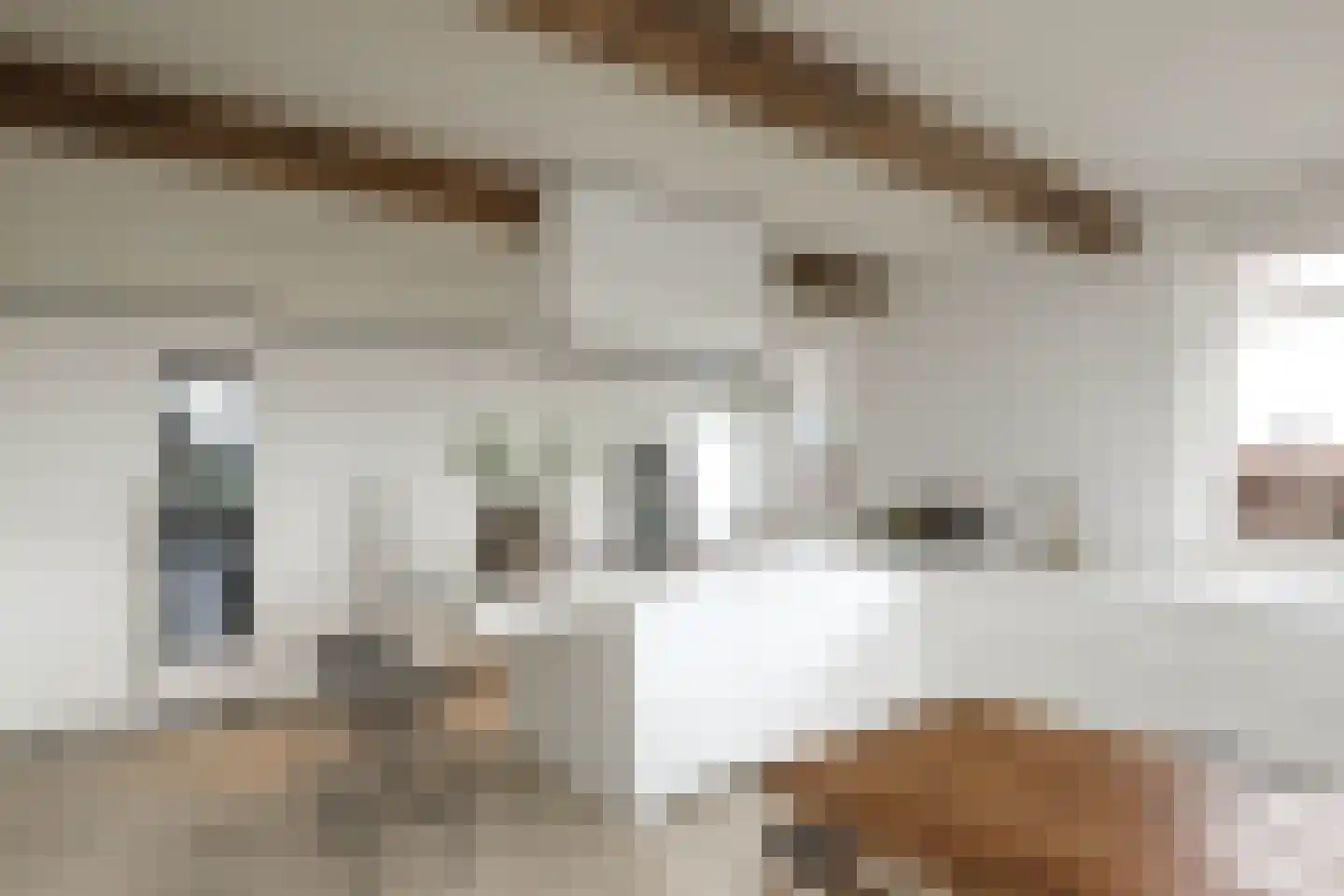 Schapenlaan 15 Bergen (NH) thumbnail 12