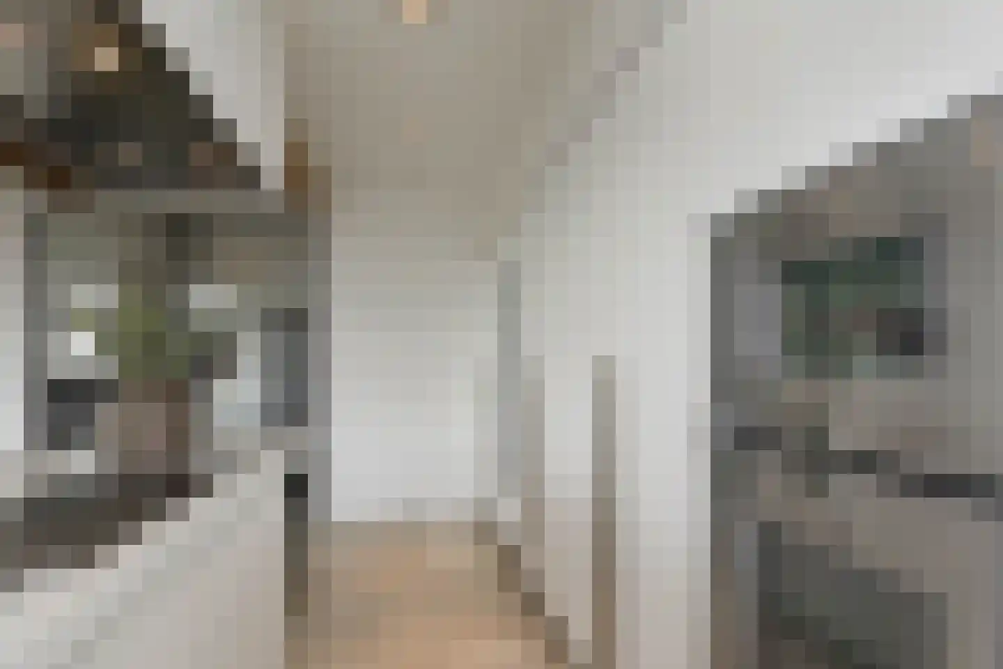 Schapenlaan 15 Bergen (NH) thumbnail 14