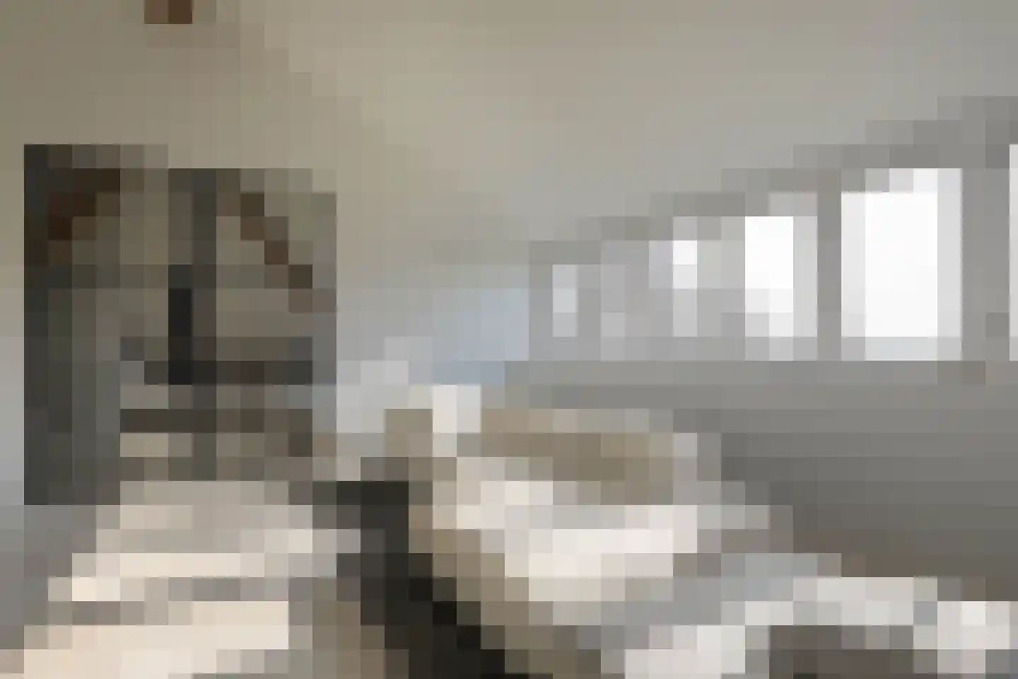 Schapenlaan 15 Bergen (NH) thumbnail 23