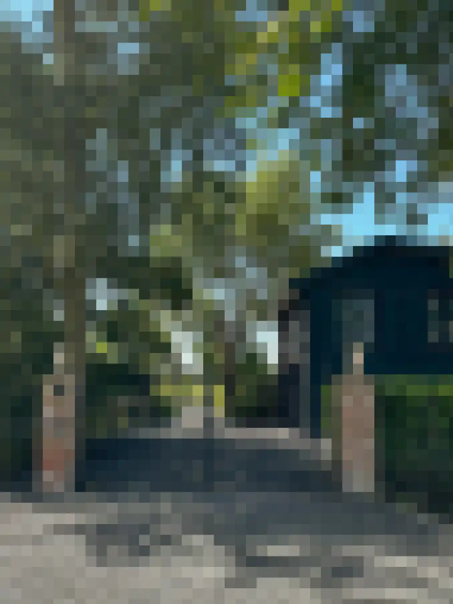 Schapenlaan 15 Bergen (NH) thumbnail 36