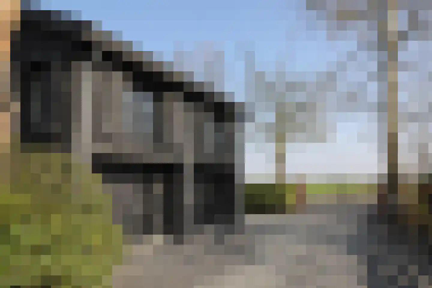 Schapenlaan 15 Bergen (NH) thumbnail 37