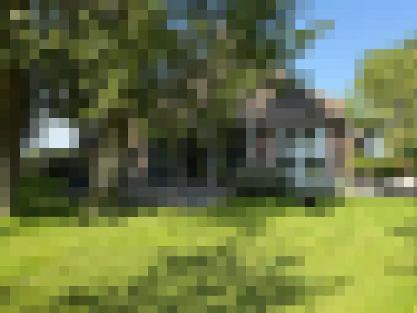 Schapenlaan 15 Bergen (NH) thumbnail 4