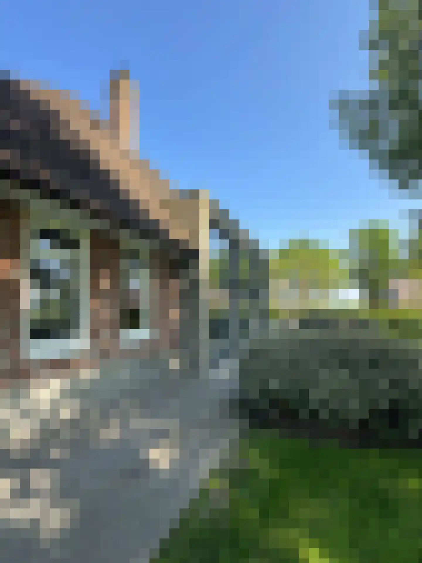 Schapenlaan 15 Bergen (NH) thumbnail 5