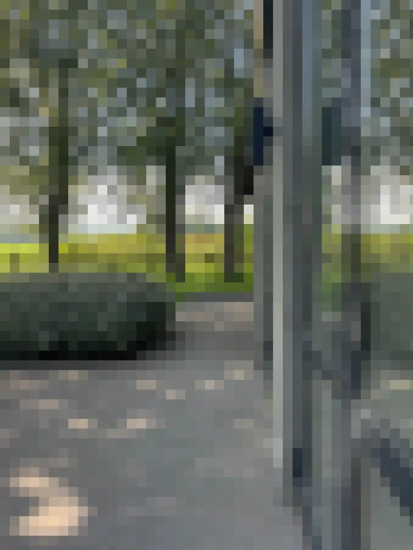 Schapenlaan 15 Bergen (NH) thumbnail 6