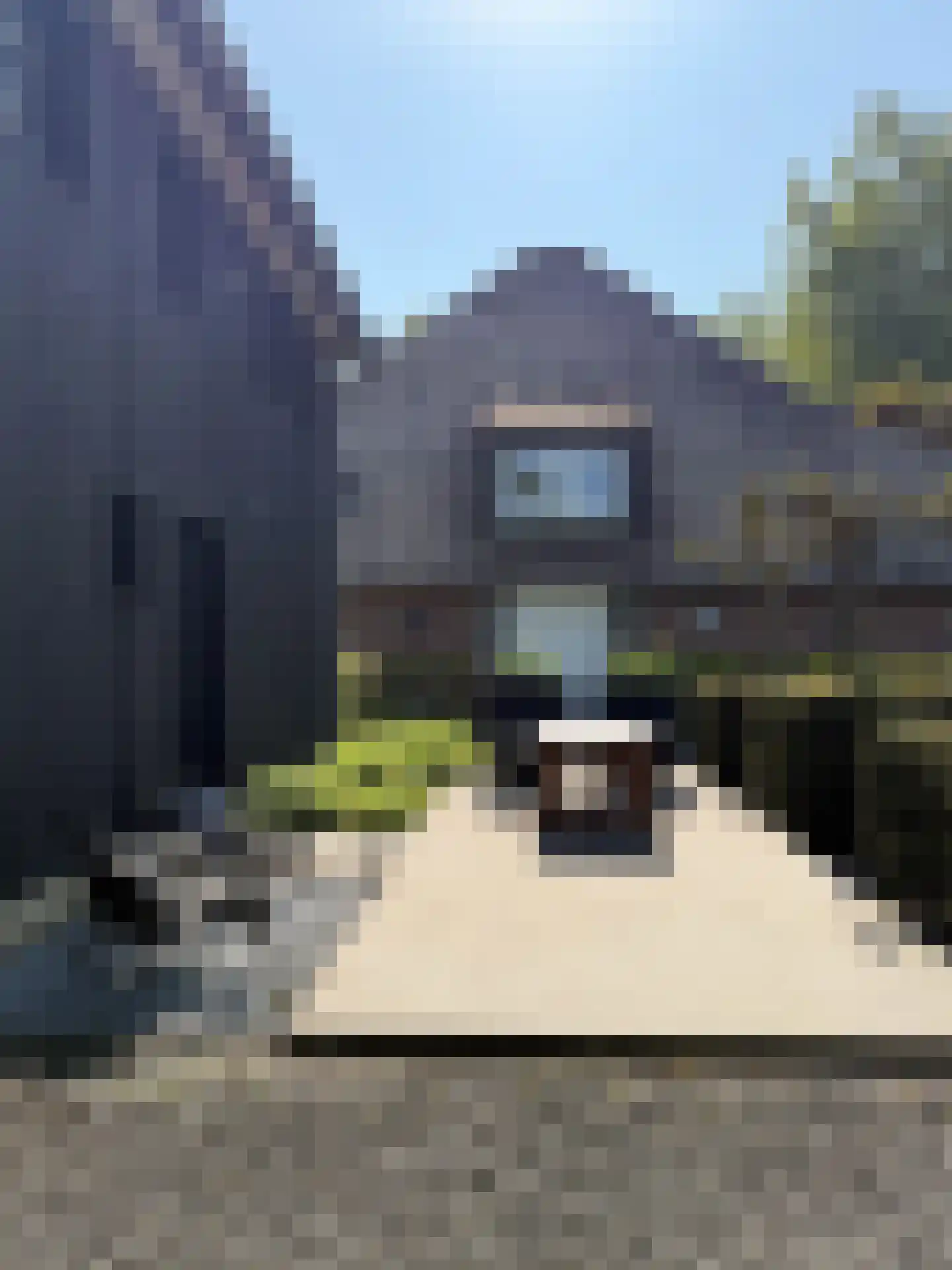 Schapenlaan 15 Bergen (NH) thumbnail 8