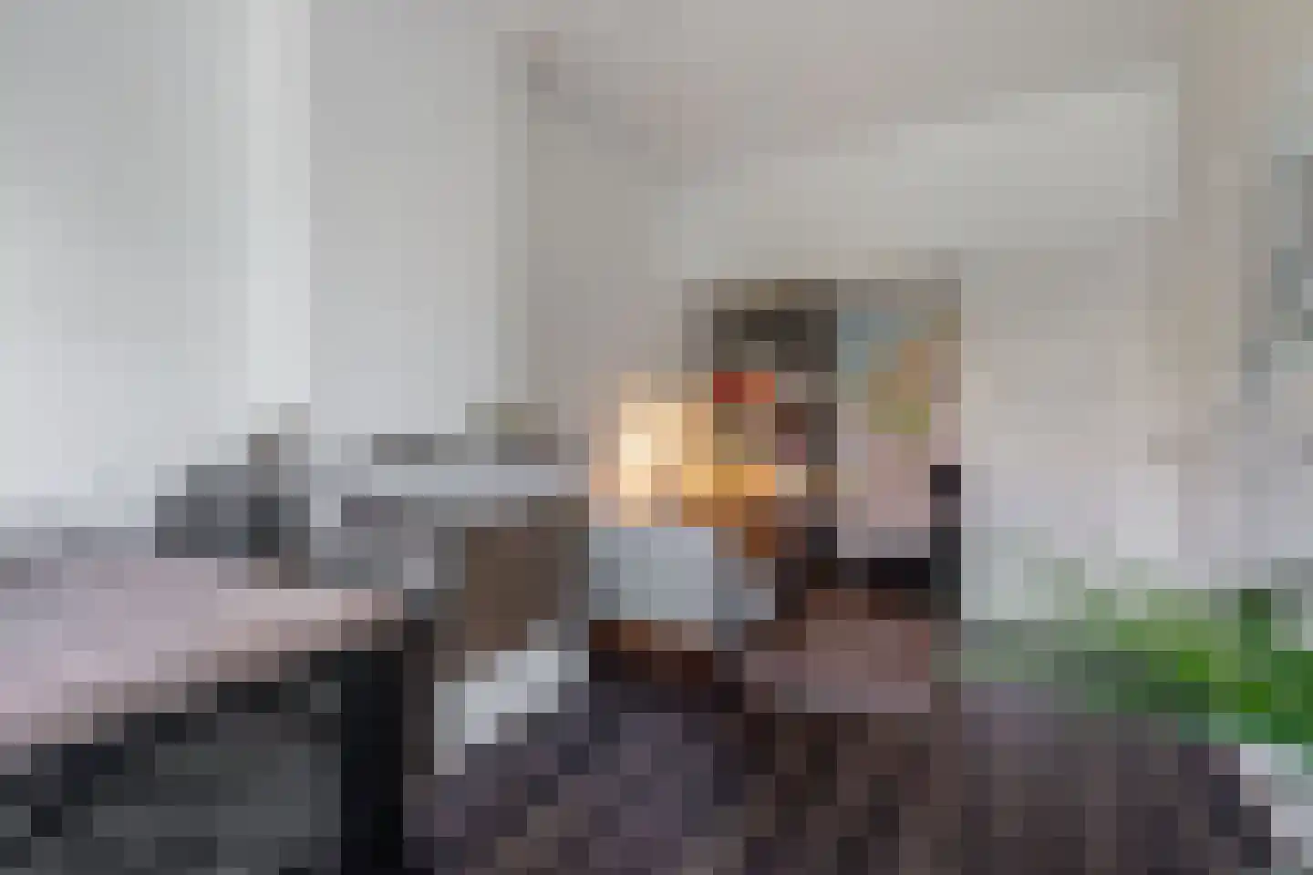Schapenlaan 56 Den Haag thumbnail 10