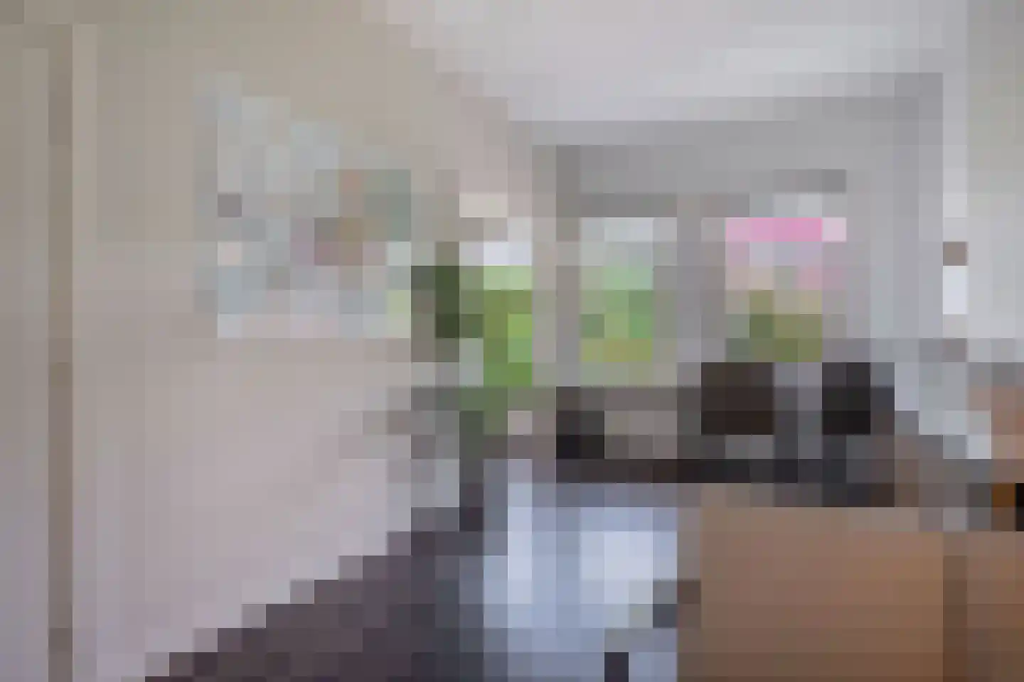 Schapenlaan 56 Den Haag thumbnail 11