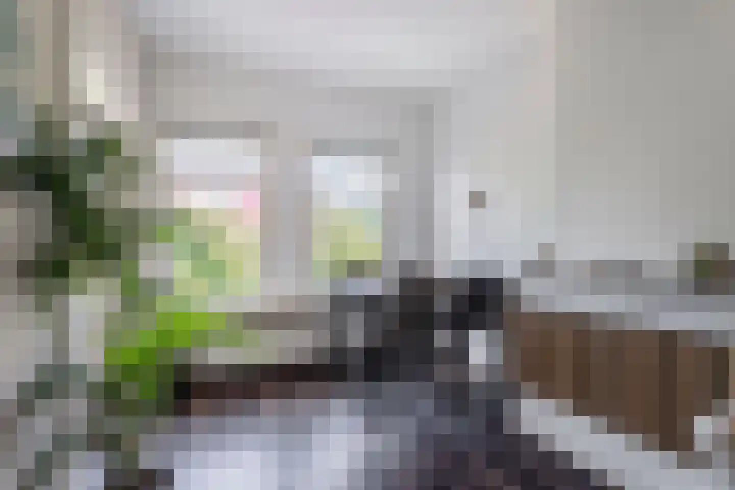 Schapenlaan 56 Den Haag thumbnail 12