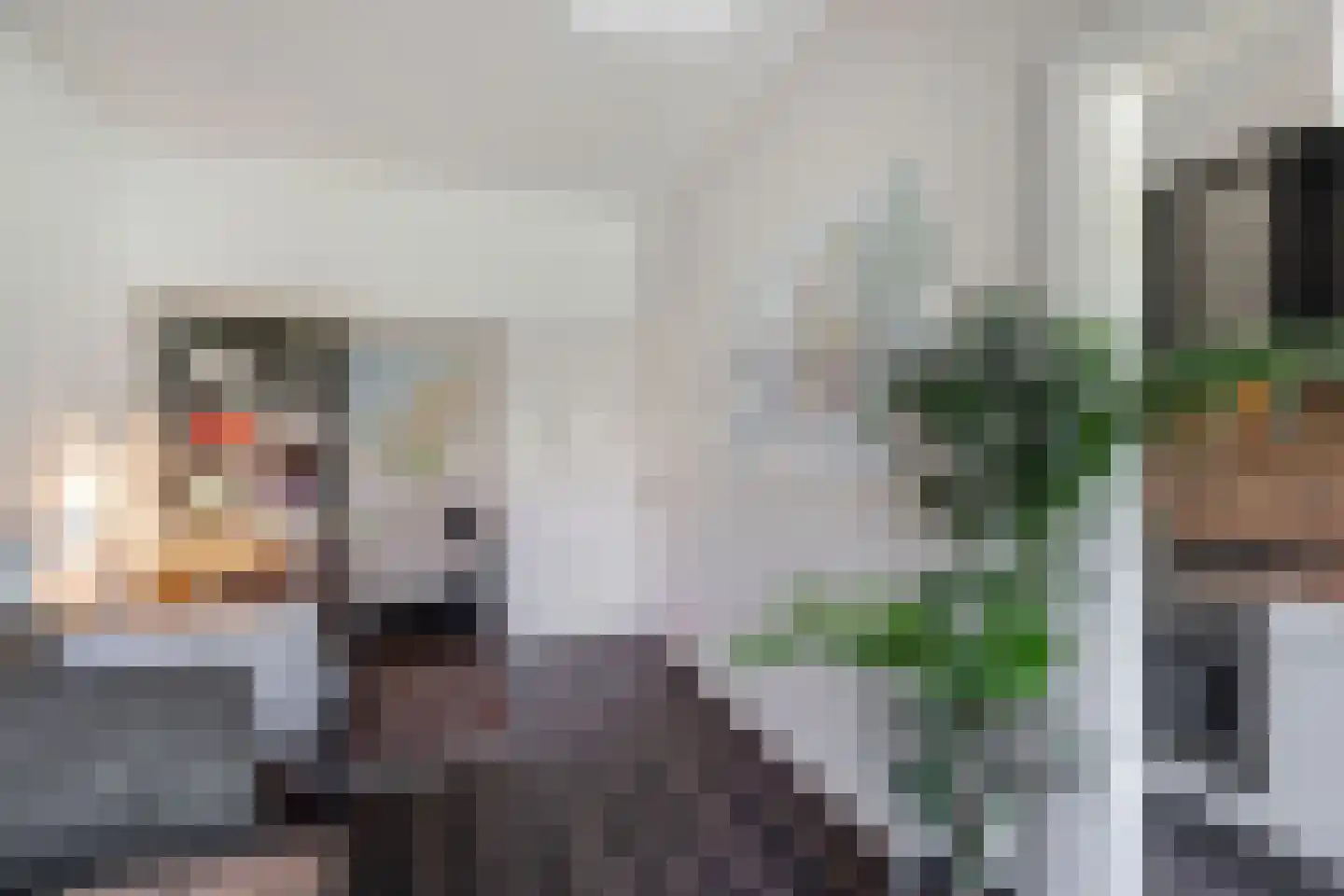 Schapenlaan 56 Den Haag thumbnail 14