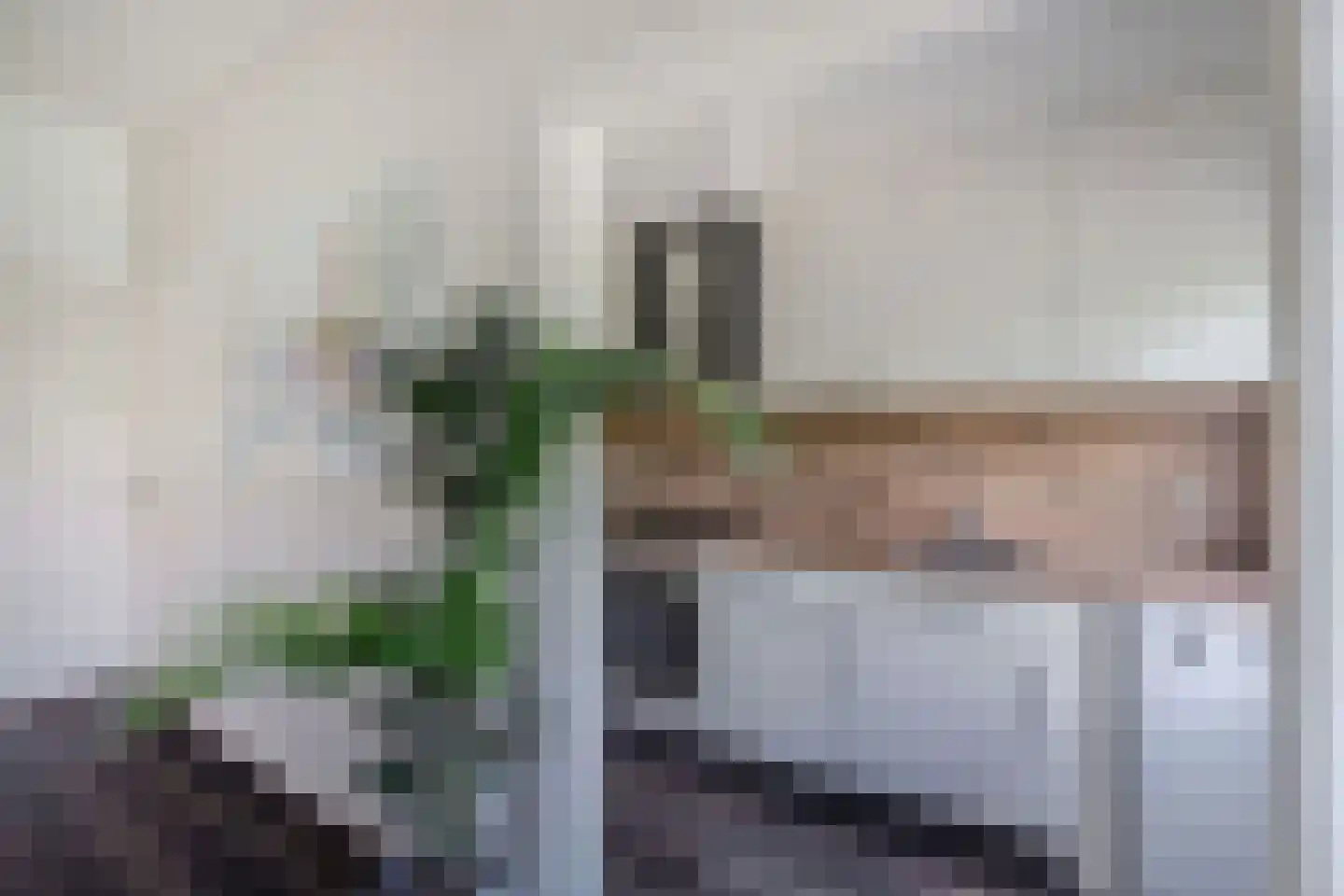 Schapenlaan 56 Den Haag thumbnail 15
