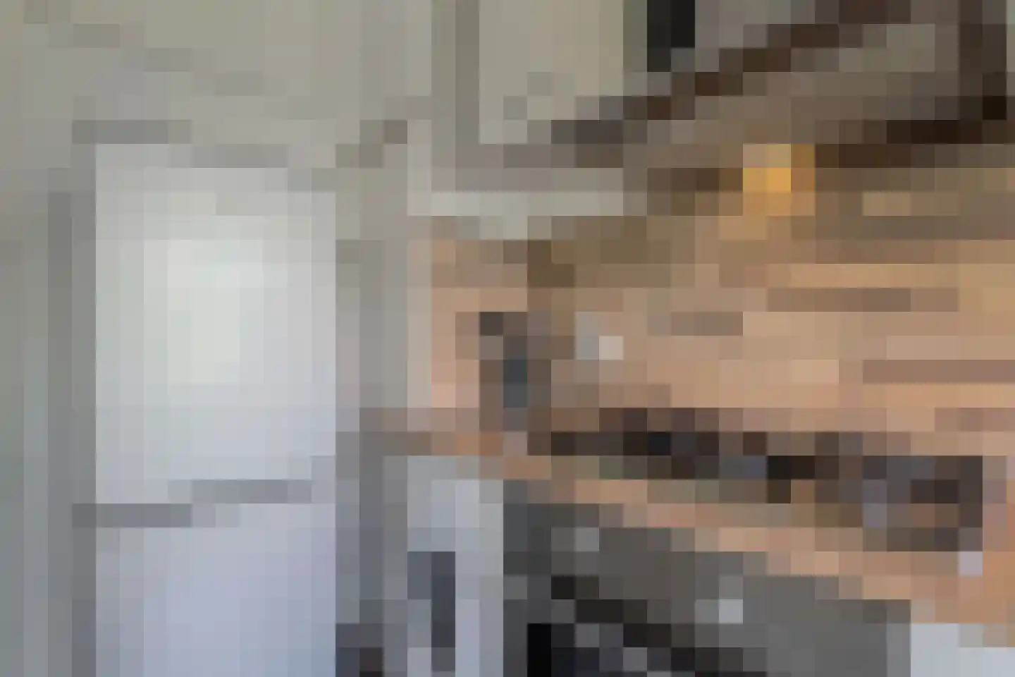 Schapenlaan 56 Den Haag thumbnail 17