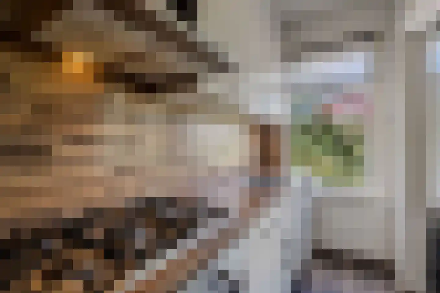 Schapenlaan 56 Den Haag thumbnail 18
