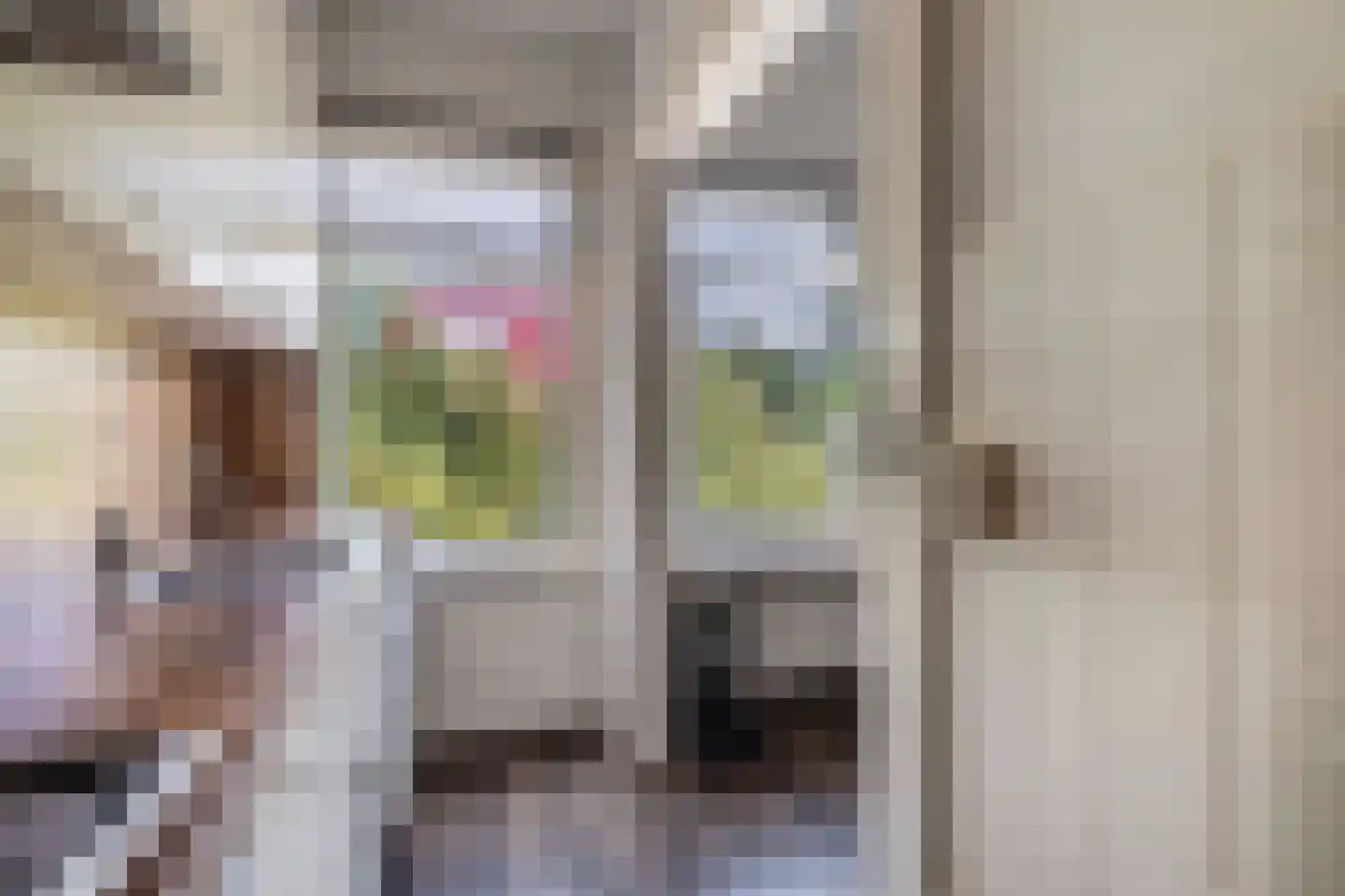 Schapenlaan 56 Den Haag thumbnail 19