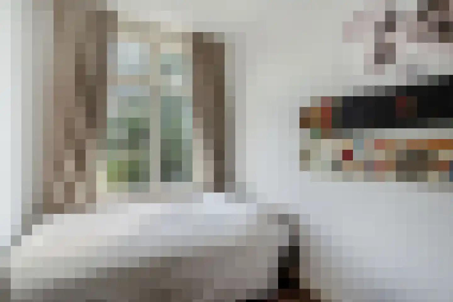 Schapenlaan 56 Den Haag thumbnail 23