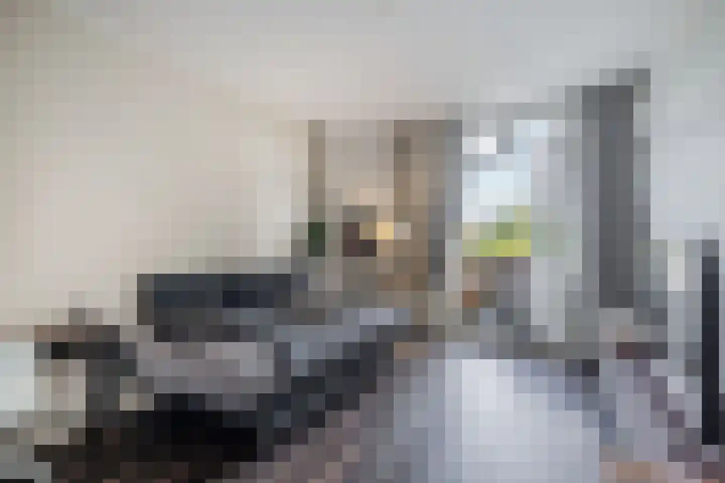 Schapenlaan 56 Den Haag thumbnail 27